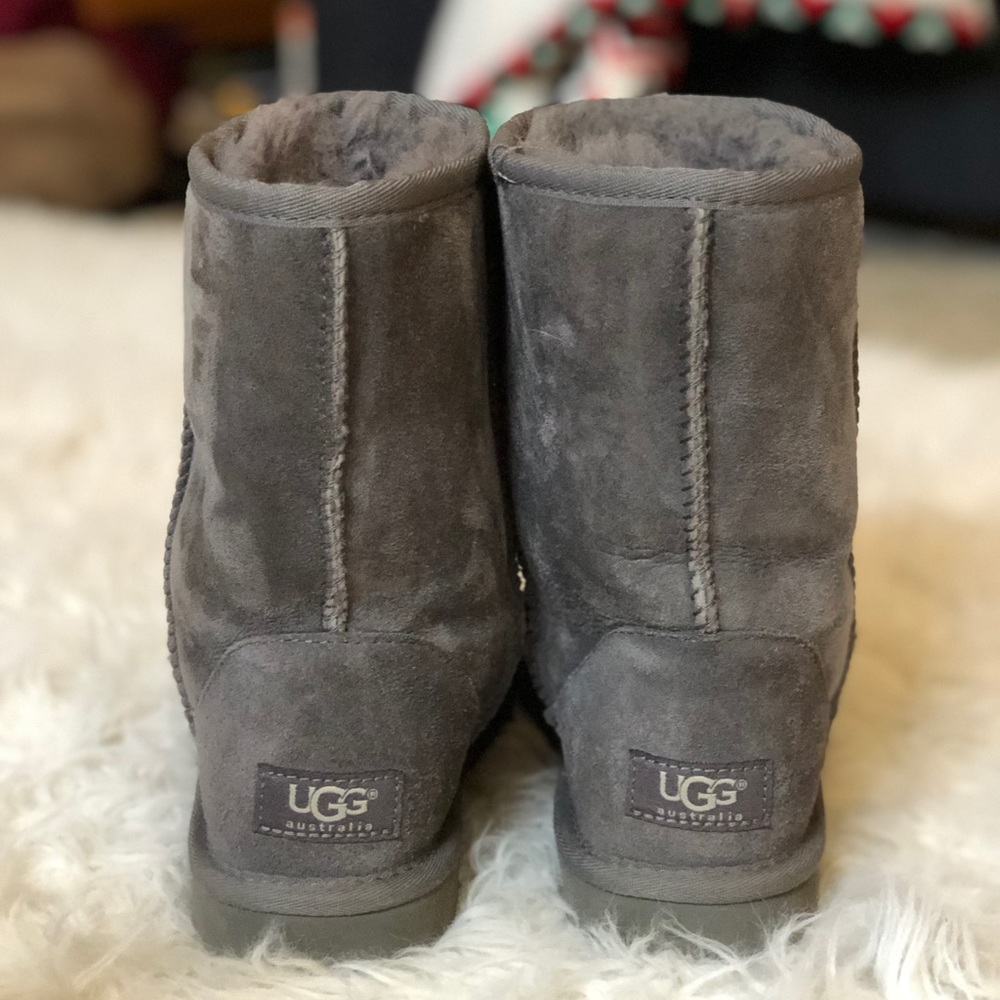 Gray Classic Short UGGs